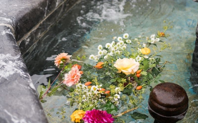 1818685388_news_Fontana Collina di Forni Avoltri